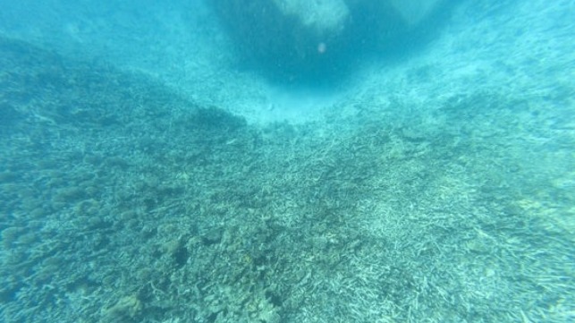 图片来源：卡迪夫大学