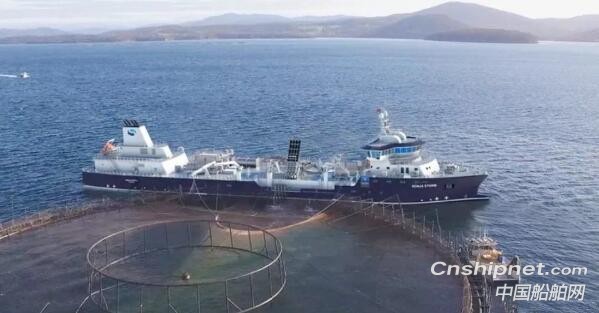 全球最大的活鱼运输舱船“Ro<em></em>nja Storm”号将建成