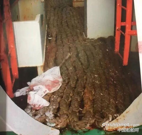 “死亡”船员藏匿7年，真相令人震惊！