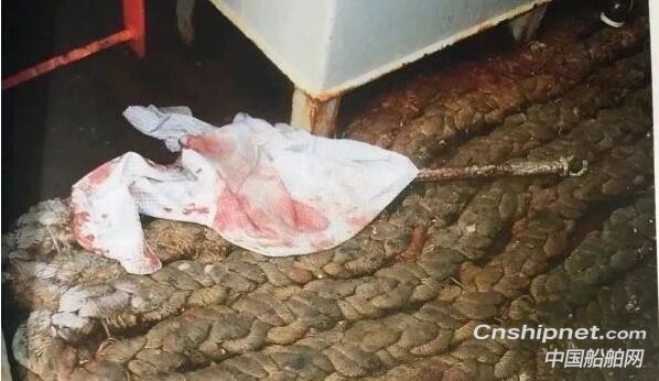 “死亡”船员藏匿7年，真相令人震惊！