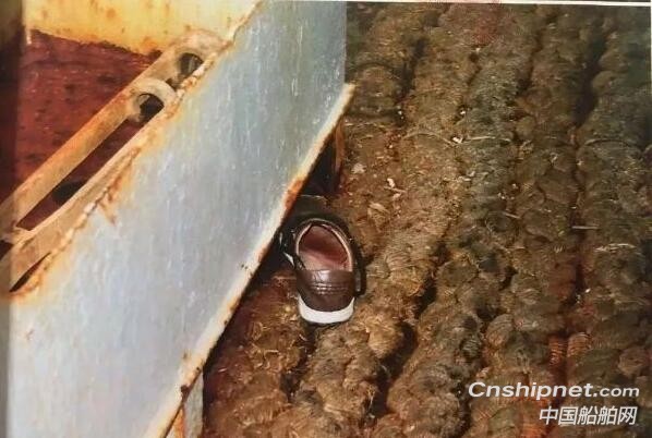 “死亡”船员藏匿7年，真相令人震惊！