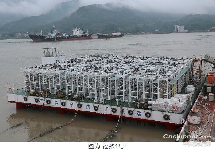 国内最大深远海鲍鱼养殖平台“福鲍1号”建成