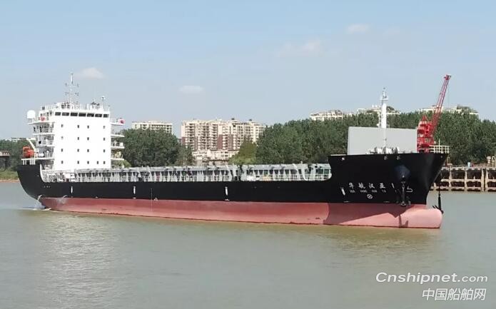 武汉新港“华航汉亚1”500TEU汉亚航线集装箱船顺利交付