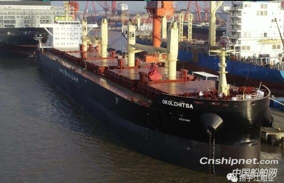 扬子江船业第六艘45000DWT散货船命名交付